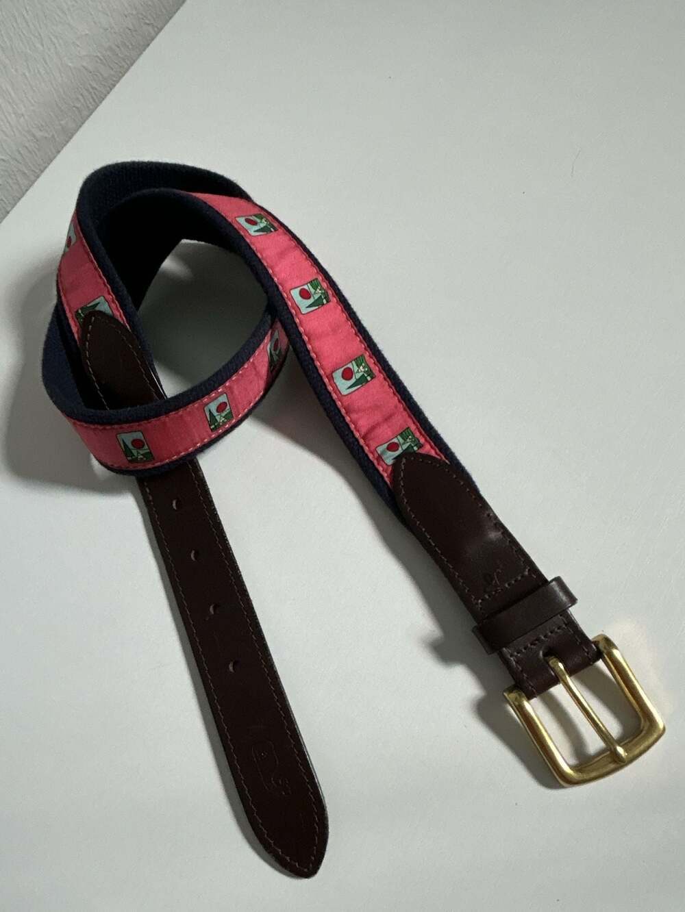 Vineyard Vines Camping Theme Ribbon Belt with Leather Tabs